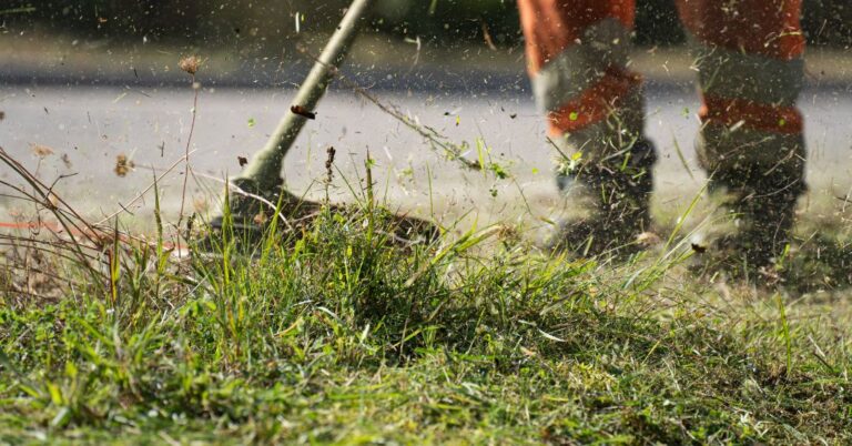 corte de grama em Teresina